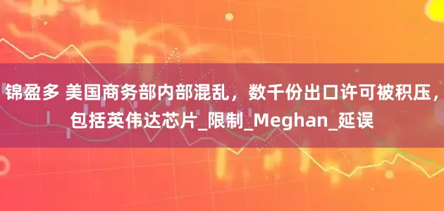锦盈多 美国商务部内部混乱，数千份出口许可被积压，包括英伟达芯片_限制_Meghan_延误